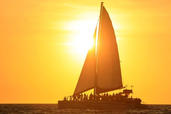 Catamaran Snorkeling and Sunset Sailing from Playas del Coco — Wildlife, BBQ & Open Bar photo 6