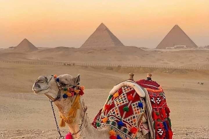 Camel and Horse Riding Around the Giza Pyramids: An Active Tour of Ancient Sands photo 6