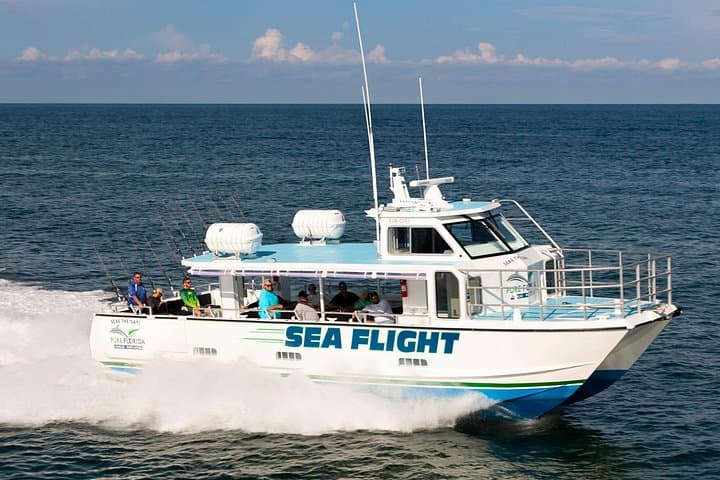 Naples 6-Hour Deep Sea Fishing from Tin City — Offshore Charters & What to Expect photo 1