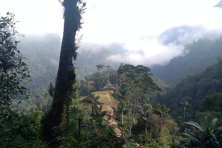 Lost City Trek: 4-Day Ciudad Perdida Jungle Trek from Santa Marta photo 2