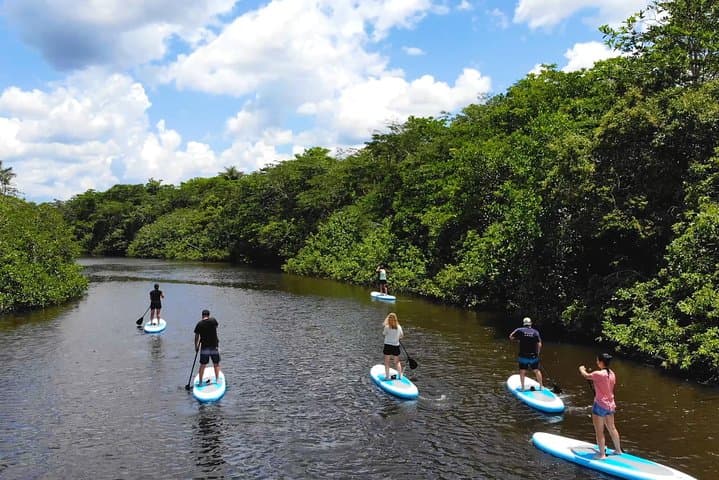 4-Day Paddle Boarding Adventure in Cuyabeno Reserve, Ecuador photo 2