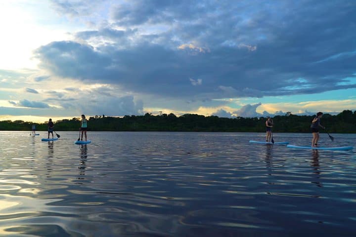 4-Day Paddle Boarding Adventure in Cuyabeno Reserve, Ecuador photo 4