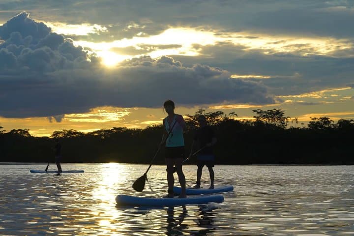 4-Day Paddle Boarding Adventure in Cuyabeno Reserve, Ecuador photo 5