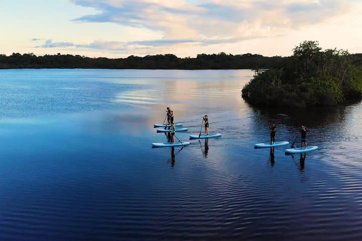 4-Day Paddle Boarding Adventure in Cuyabeno Reserve, Ecuador