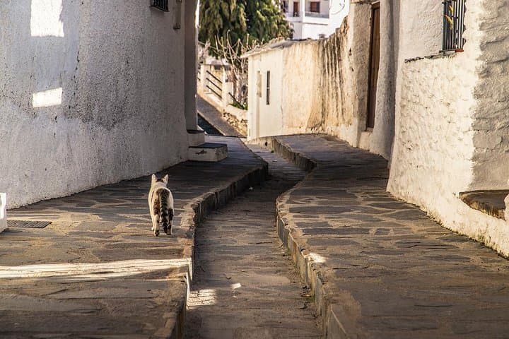 Discover Las Alpujarras: Day Trip from Málaga & Granada photo 5