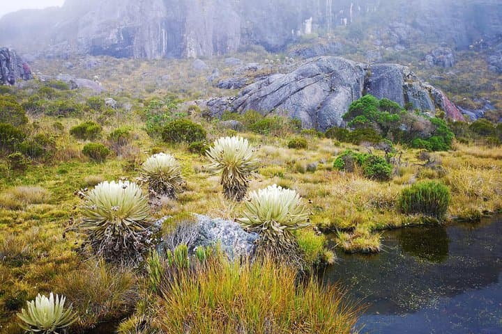 High-Altitude Hike to Laguna Negra in Páramo de Santurbán photo 3