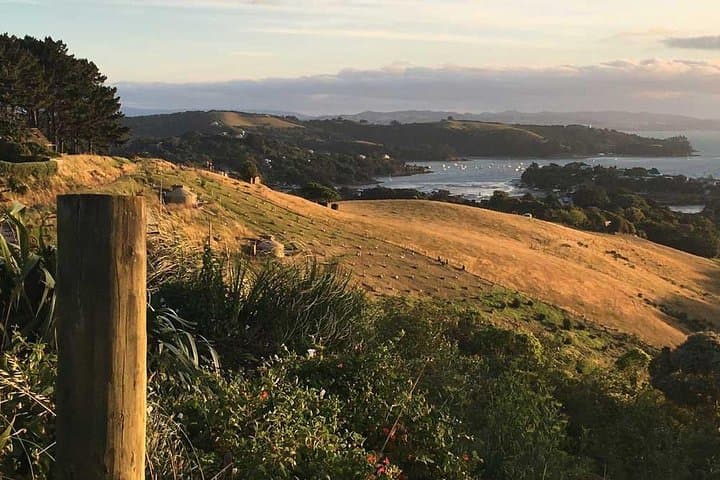 Te Ara Hura Waiheke: A 5-Day Private Guided Walk Around the Island photo 4