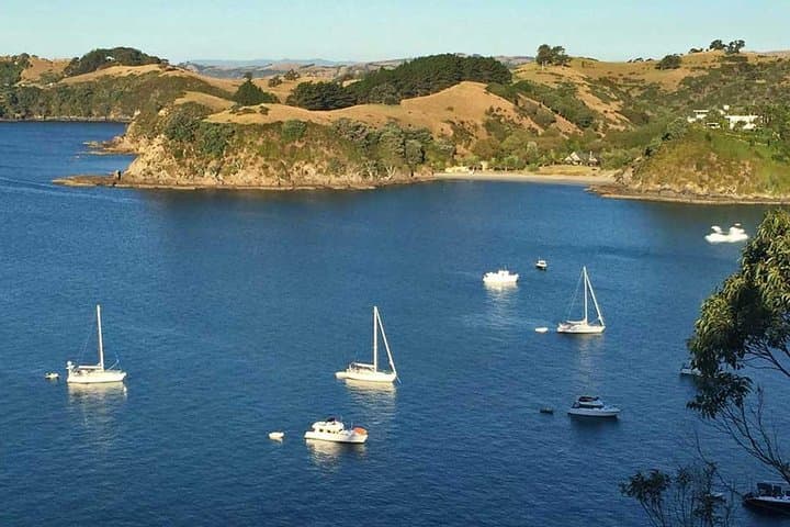 Te Ara Hura Waiheke: A 5-Day Private Guided Walk Around the Island photo 6