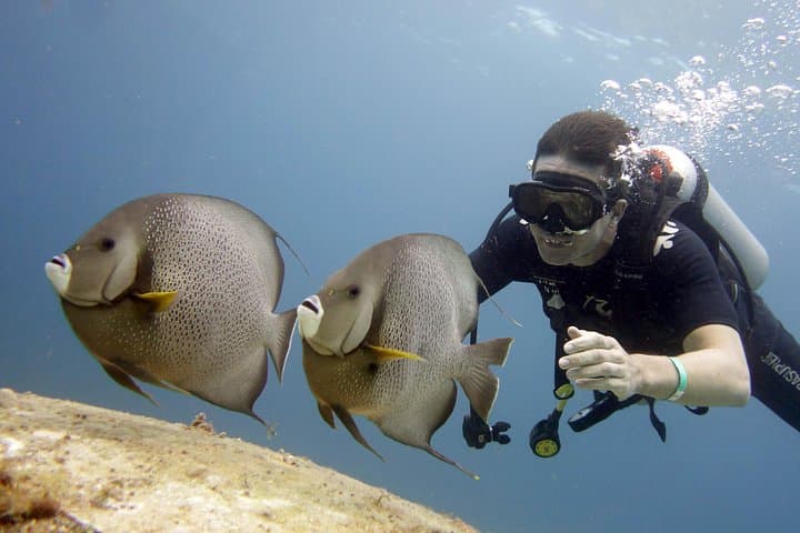 Scuba Diving MUSA Underwater Museum — Two-Tank Boat Dive from Isla Mujeres photo 6