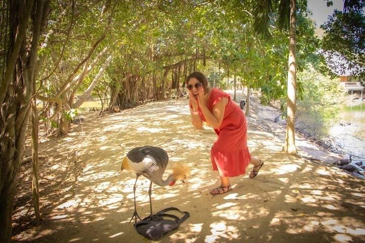 Private Aviary Tour in Barú — Colombia’s National Aviary with Lunch photo 6