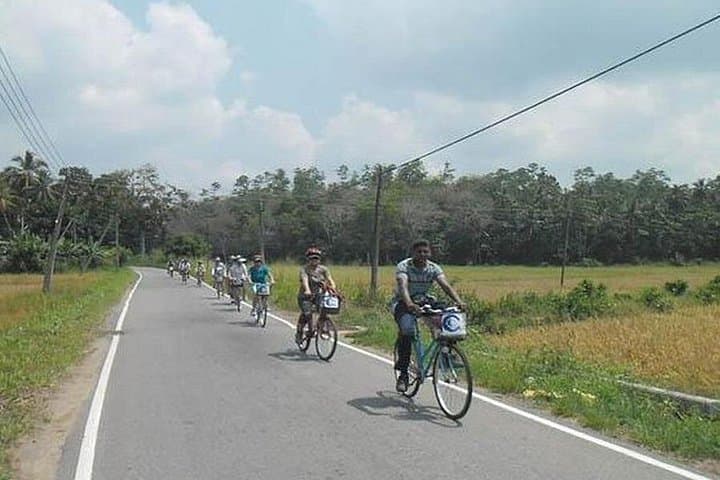Pedaling the Mangroves: Lagoon and Village Cycling from Galle photo 2