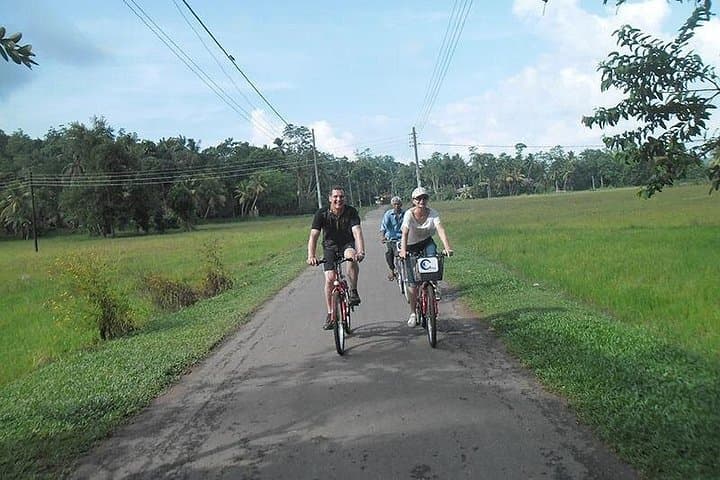 Pedaling the Mangroves: Lagoon and Village Cycling from Galle photo 4