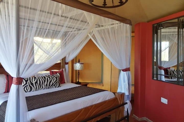 8-Day Kenya–Tanzania Safari: Maasai Mara, Lake Nakuru, Amboseli & Ngorongoro Crater photo 3