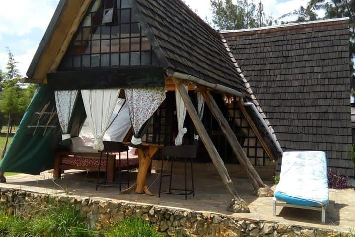 8-Day Kenya–Tanzania Safari: Maasai Mara, Lake Nakuru, Amboseli & Ngorongoro Crater photo 4
