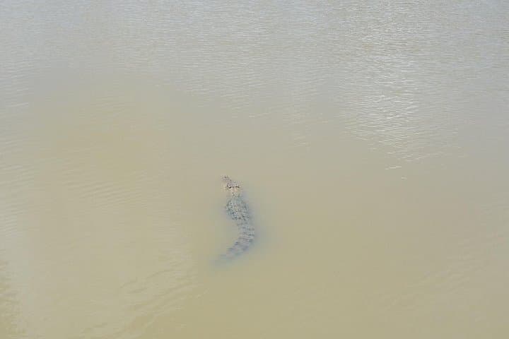 Tanjung Bulat Jungle Camp: 3-Day Kinabatangan Wildlife & Gomantong Cave Experience photo 2