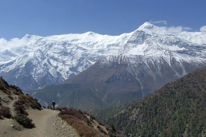 Royal Trek Annapurna: 6-Day Easy Trek from Pokhara photo 3