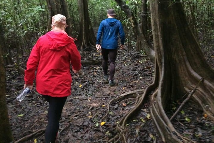 3D2N Tanjung Bulat Jungle Camp: Kinabatangan Wildlife Immersion photo 5