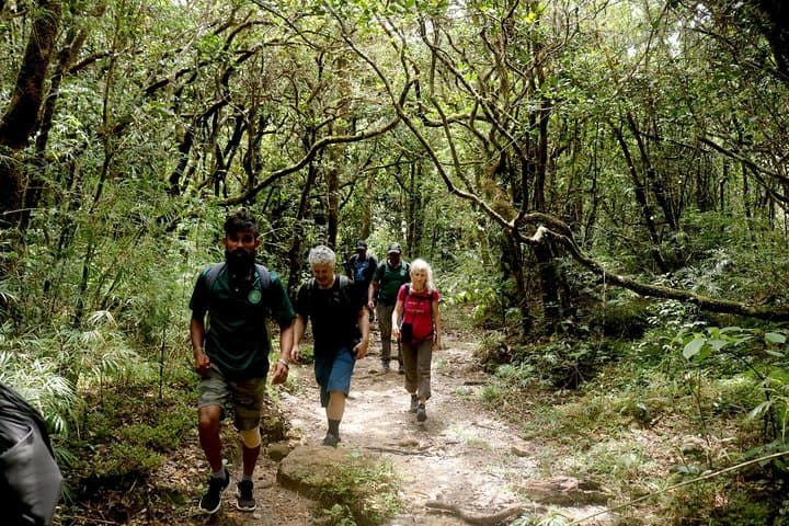 Knuckles Peak: 1-Night Camping and Summit Trek from Kandy photo 4