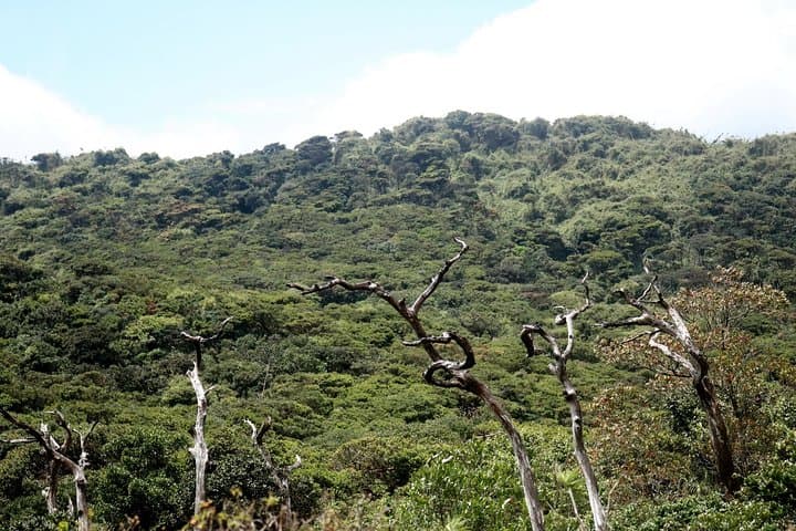 Knuckles Peak: 1-Night Camping and Summit Trek from Kandy photo 5