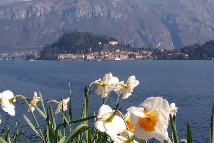 Lake Como & Bellagio Cruise: Semi-Private Day Trip from Milan photo 3