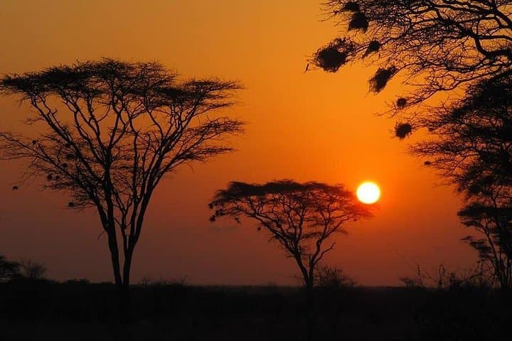 3-Day Meru National Park Safari: Remote Wildlife, Rivers & Birding photo 1
