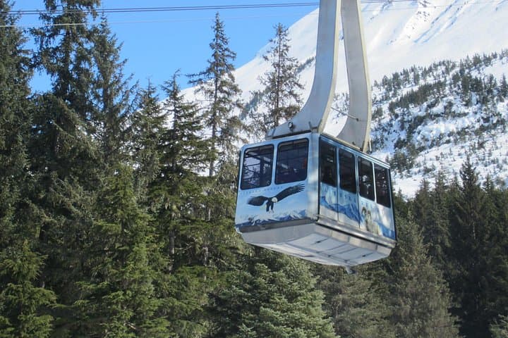 Turnagain Arm & Alaska Wildlife Center Day Trip with Alyeska Tram photo 2