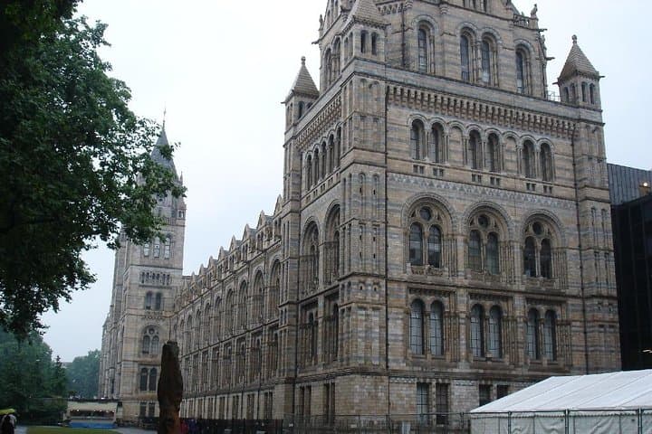Exploring the Natural History Museum London: Dinosaurs, Minerals and Earth Science