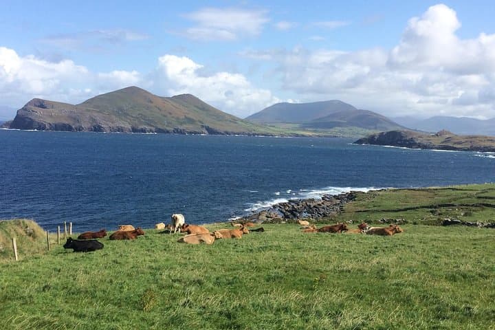 Explore the Hidden Corners: Off the Beaten Path Private Tour of Ring of Kerry photo 6