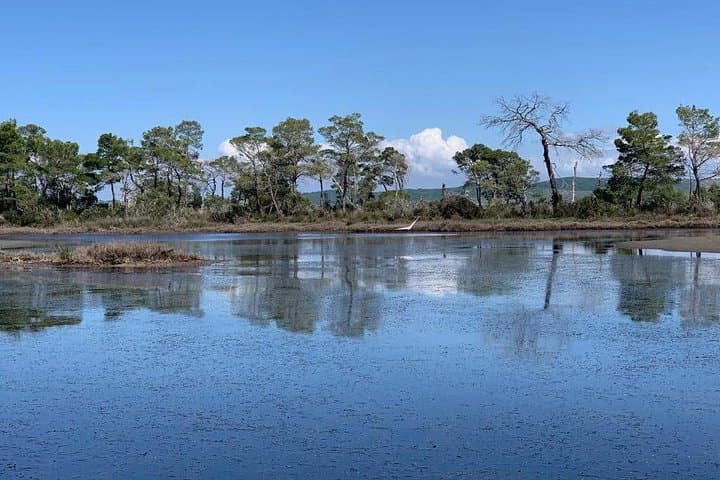 Karavasta Lagoon Boat Trip from Tirana — See Dalmatian Pelicans in Albania photo 3