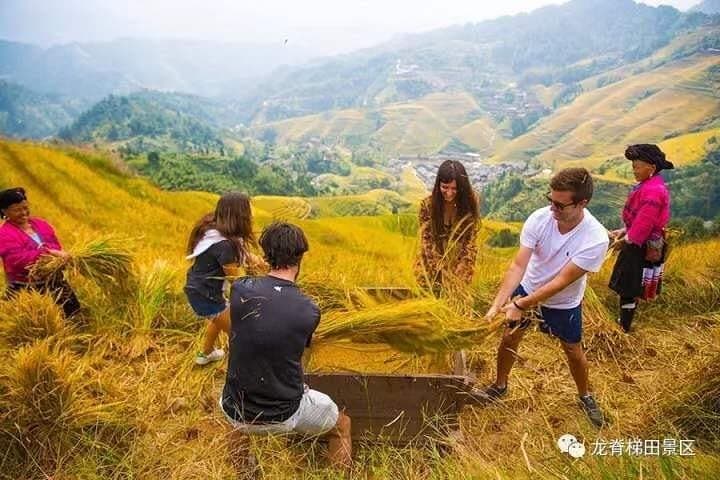 Longji Rice Terraces & Minority Villages: Private Day Tour from Guilin photo 3