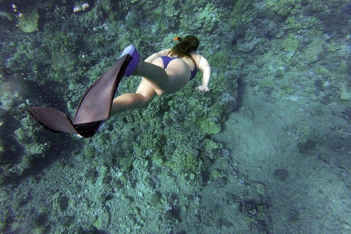 Snorkel the Athenian Riviera: Guided Coastal Snorkeling Tour from Athens photo 3