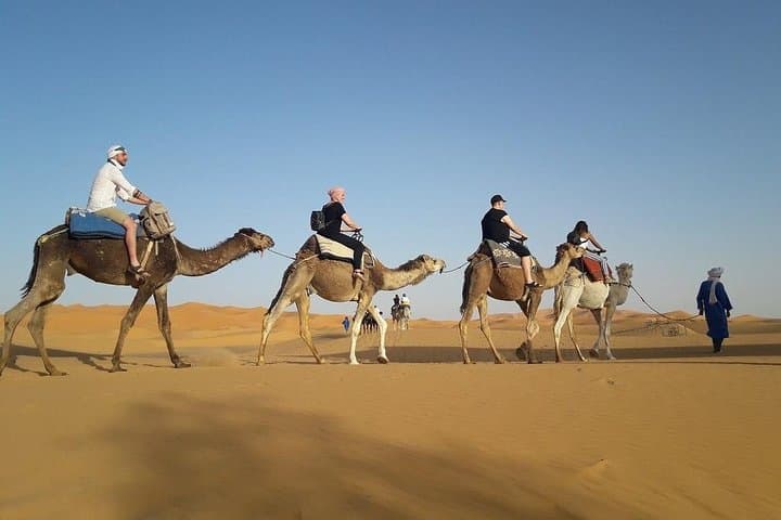 Marrakech to Zagora: 2-Day Desert Tour, Kasbahs & Overnight Camel Bivouac photo 6
