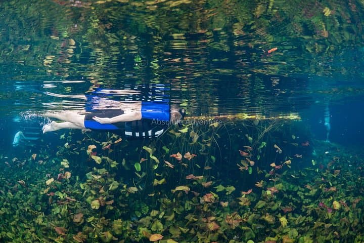 VIP Cenote Snorkeling in Taak Bi Ha & Nicte Ha — Private Tour from Tulum photo 6