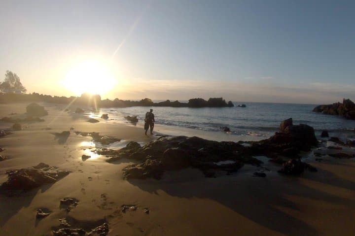Snorkel Lanzarote: Guided Playa Chica Reef Experience in Puerto del Carmen photo 5