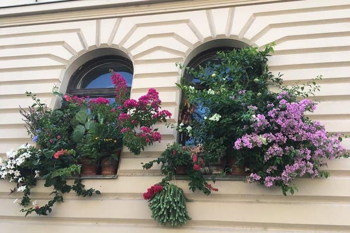 Secret Buda Private Tour: Medieval Legends, Royal Hills & Panoramic Views of Budapest photo 6