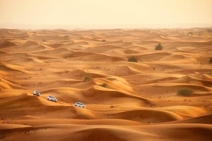 Dubai Desert Safari: 4x4 Dune Bashing, Sunset & Bedouin Evenings photo 5
