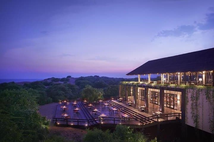 3-Day Sri Lanka Wildlife & Coast Tour: Yala Safari, Mirissa Whales & Turtle Rescue photo 5
