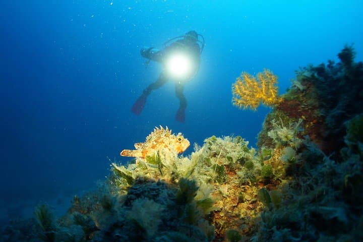 Day Diving Trip to Hvar & Brač from Tucepi — 2 Dives on the Makarska Riviera