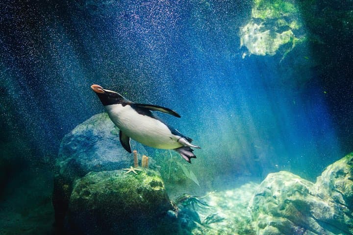 Underwater World Pattaya: A Practical Guide to the Aquarium Experience photo 2