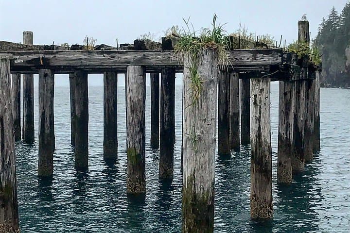 Kayak and Hike to Fort McGilvray — Caines Head Day Trip from Seward photo 3