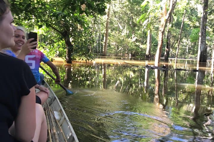 Amazon Jungle Experience from Manaus — 2-Day Overnight with Dolphins, Caimans & Pirarucu