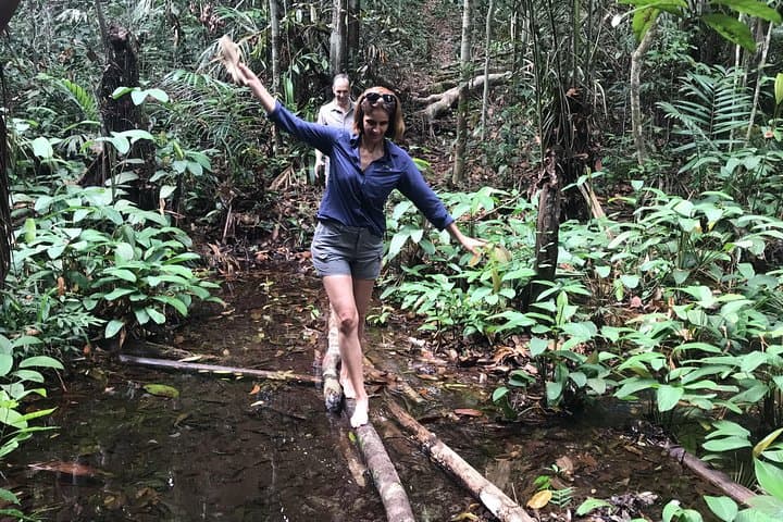 Amazon Jungle Experience from Manaus — 2-Day Overnight with Dolphins, Caimans & Pirarucu photo 2