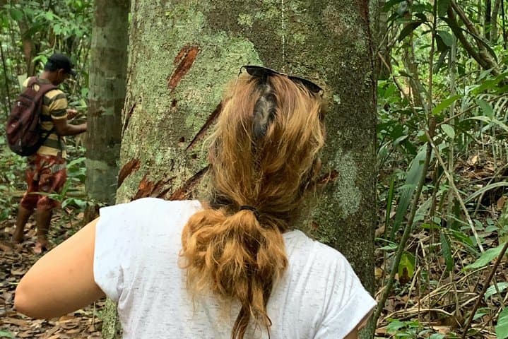 Amazon Jungle Experience from Manaus — 2-Day Overnight with Dolphins, Caimans & Pirarucu photo 5