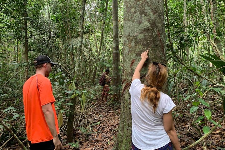 Amazon Jungle Experience from Manaus — 2-Day Overnight with Dolphins, Caimans & Pirarucu photo 6