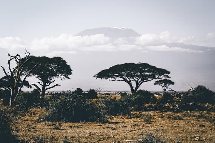 Witness the Wildebeest Migration: 4-Day Maasai Mara Safari 2025
