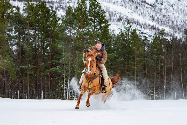 Arctic Horseback Riding Near Alta — Flatmoen Farm Winter Forest Rides