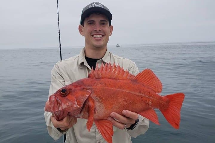 Private San Diego Half-Day Fishing Charter: Catch Kelp-Forest Species with a Local Captain photo 1