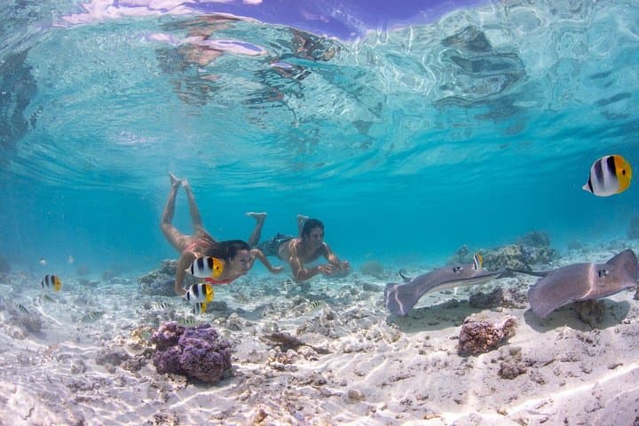 Bora Bora Eco Snorkel Cruise: Sharks, Rays and Coral Garden Lagoon Guide photo 4