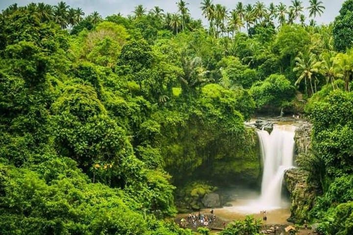 Ubud Instagram Spots Tour — Best Photo Stops in One Day photo 2
