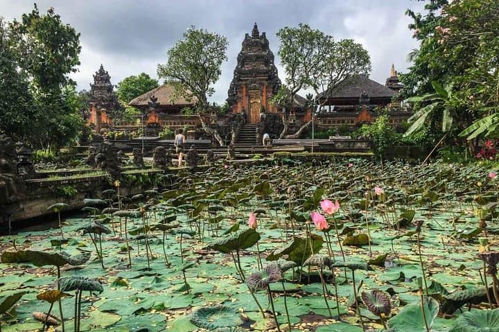 Ubud Instagram Spots Tour — Best Photo Stops in One Day photo 3
